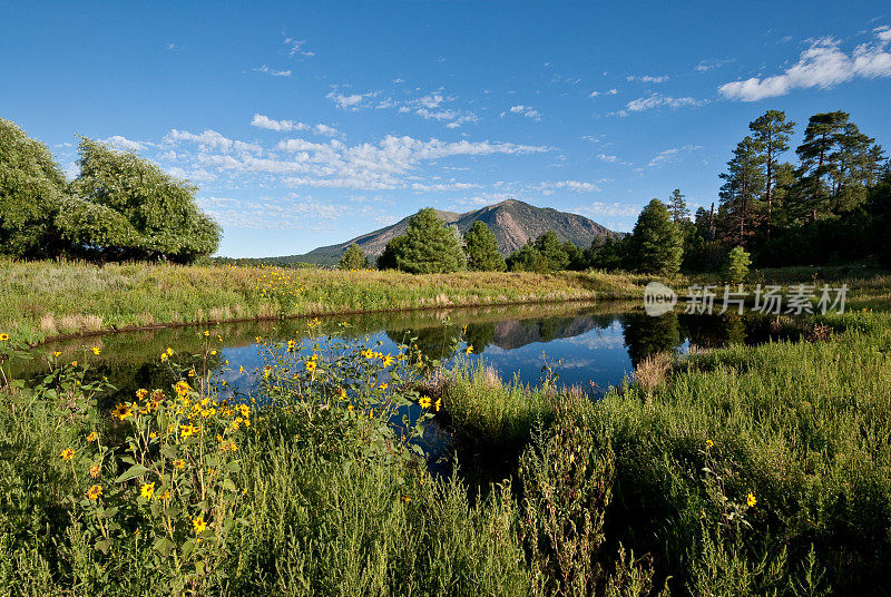 Mountains Reflected in a Pond